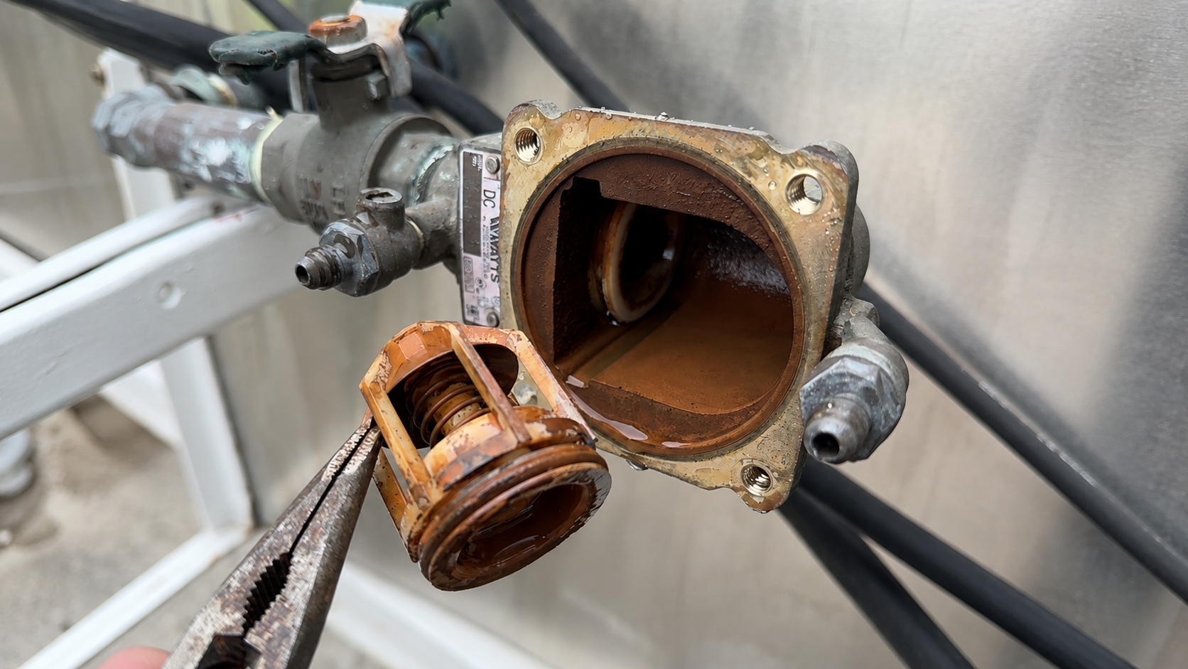 Damaged internal backflow check valve before repair